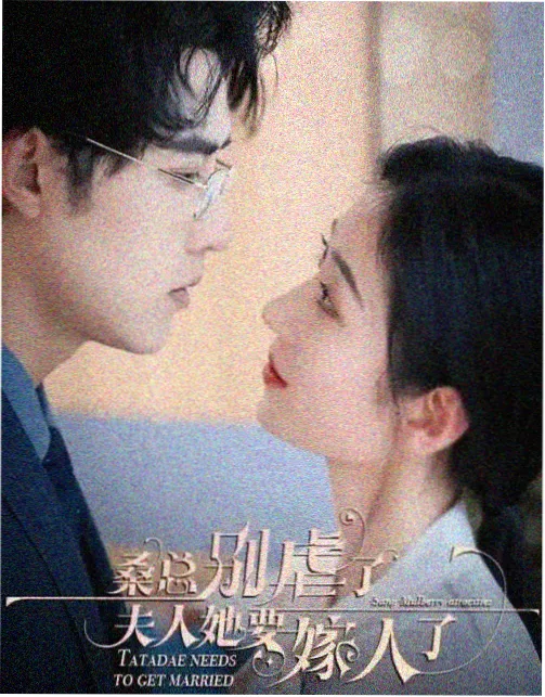 二十不惑免费观看高清